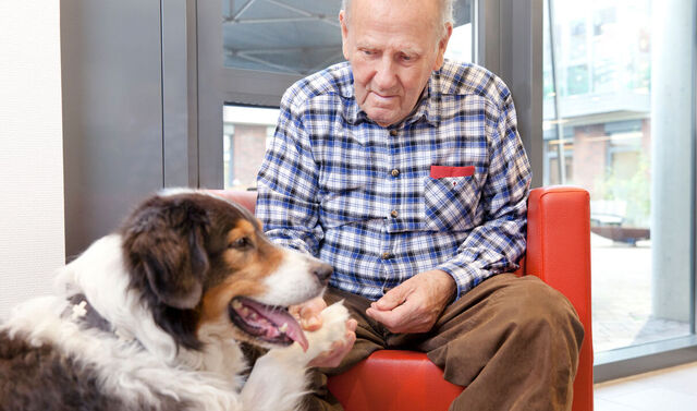Hundetherapie